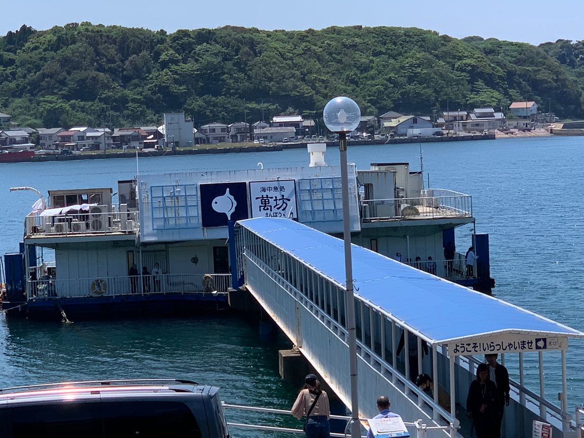 玄界灘のイカ🦑
七ツ釜
角島大橋
海中魚処萬坊