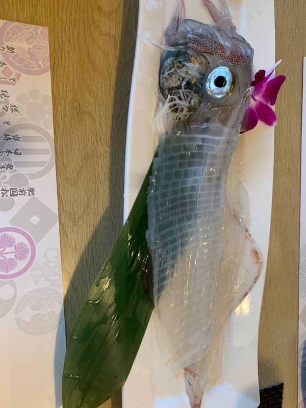 日本・佐賀県「中国地方〜九州上陸」の写真：玄界灘のイカ🦑
七ツ釜
角島大橋
海中魚処萬坊