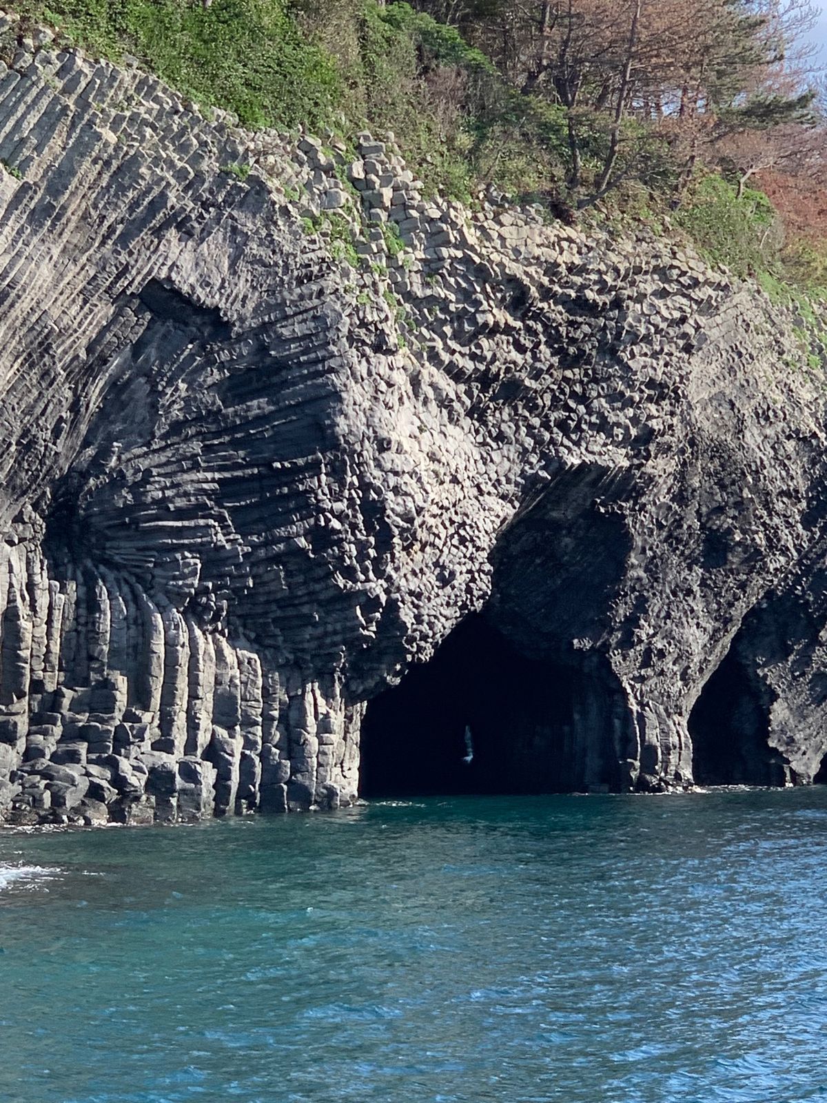 玄界灘のイカ🦑
七ツ釜
角島大橋
海中魚処萬坊