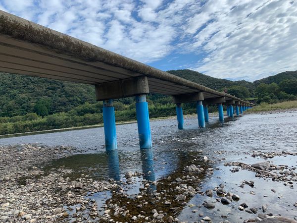 日本・徳島県「四国一周‼️」の写真：沈下場所、小便小僧、かずら橋、坂本龍馬