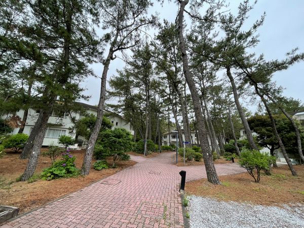 日本・宮崎県「義父76歳誕生日」の写真