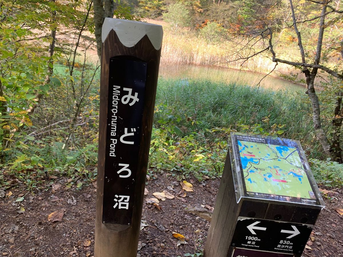 きれいだったなぁ😍