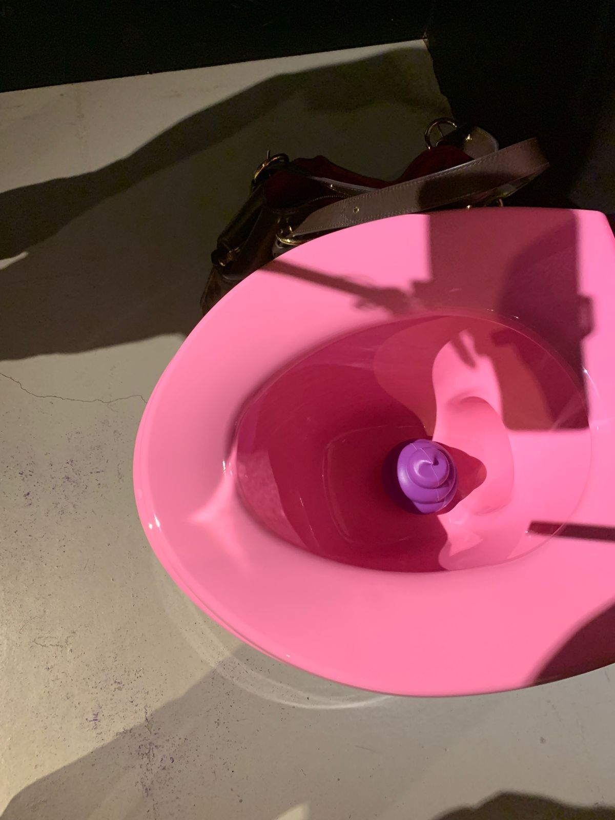 楽しかったなぁー‼️