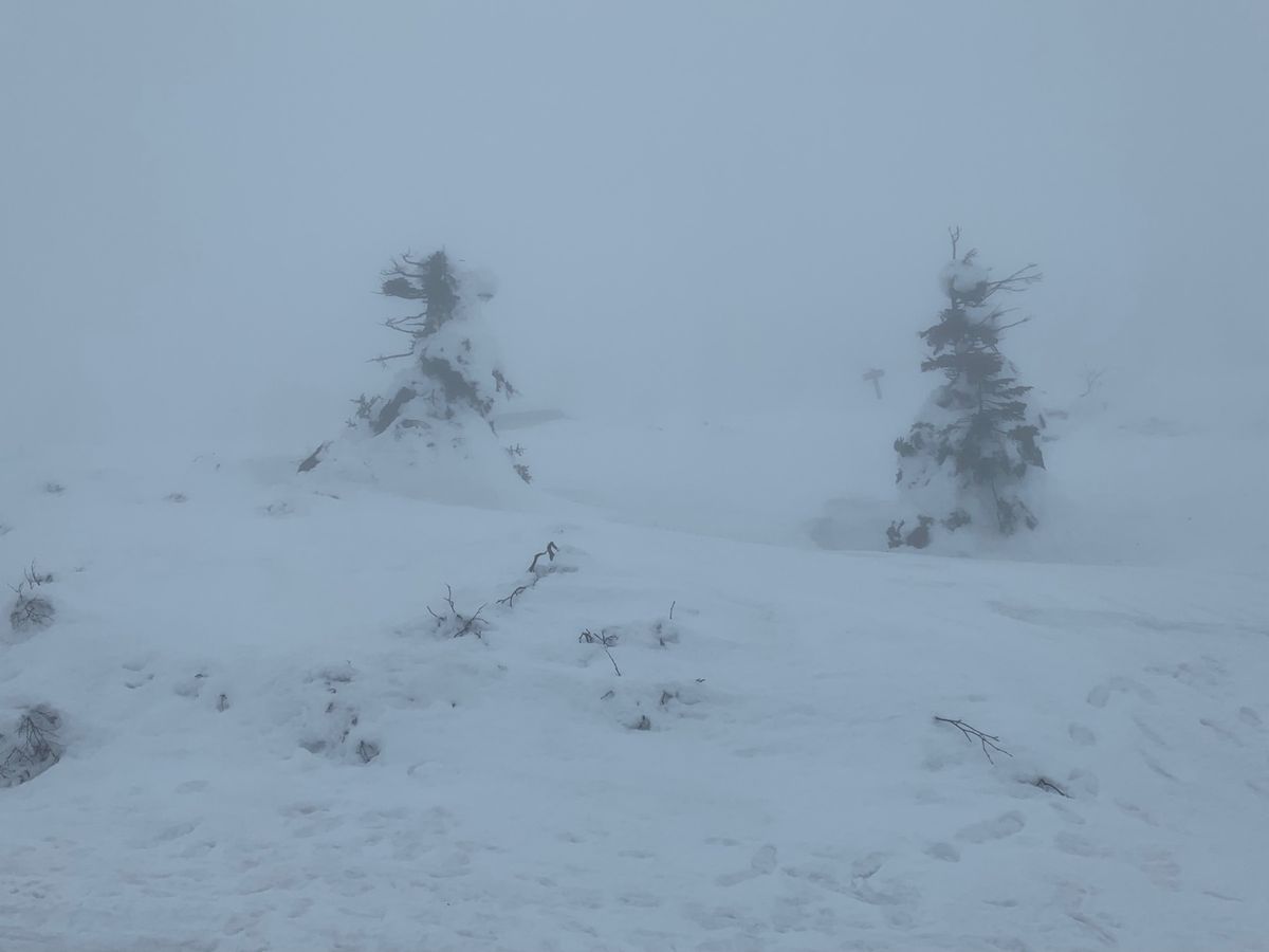 寒かったけど楽しかった*\(^o^)/*