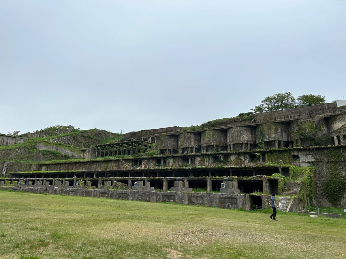 佐渡島、楽しくて美味しかった