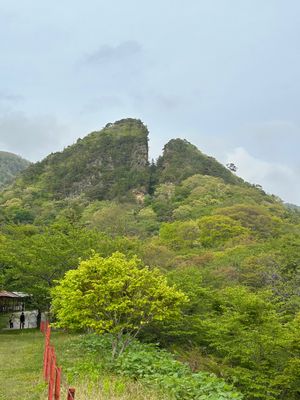 佐渡島、楽しくて美味しかった