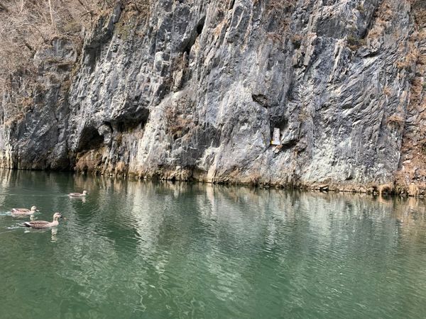 日本・岩手県「人生初めてのわんこそばに挑戦」の写真：猊鼻渓