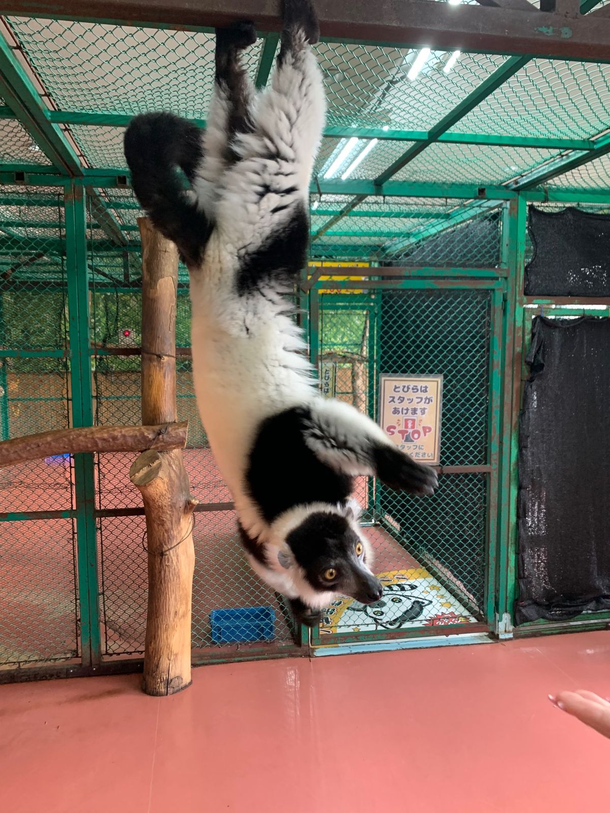 可愛かった*\(^o^)/*