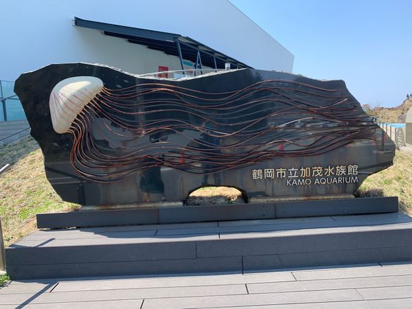 日本・山形県「日本海側より」の写真：鶴亀市立加茂水族館