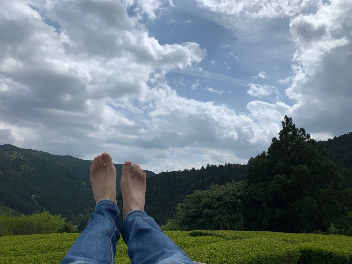 黄金の茶の間　最高😀