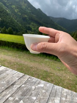 黄金の茶の間　最高😀