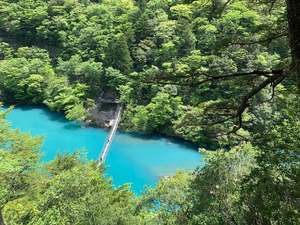 日本・静岡県「川根本町散策」の写真：夢の大橋