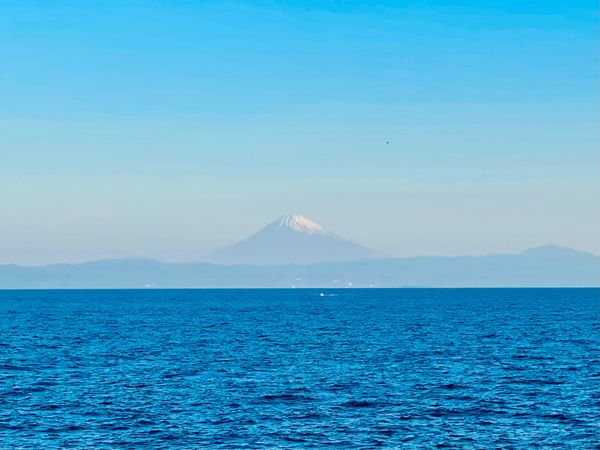 日本・東京都「三原山トレッキング」の写真：島に到着するときに見えた海越しの富士山に...