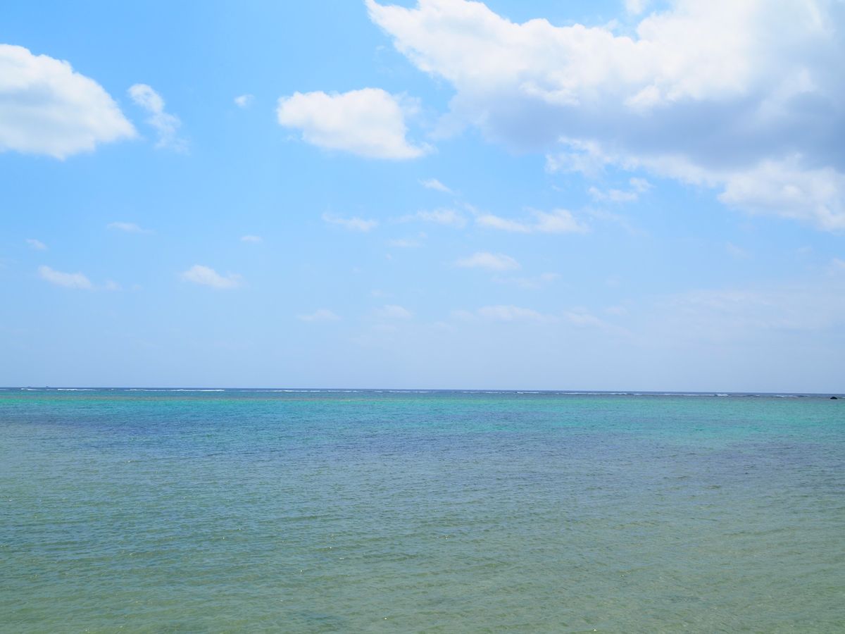 ANAインターコンチネンタル石垣リゾート内にあるマエサトビーチ🏝
3日目や...
