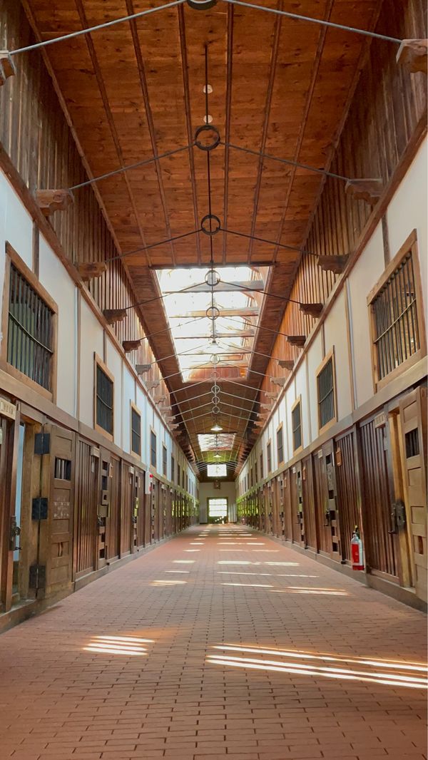 日本・北海道「🍑北海道〜金カム聖地へ無謀な大移動〜🍑」の写真