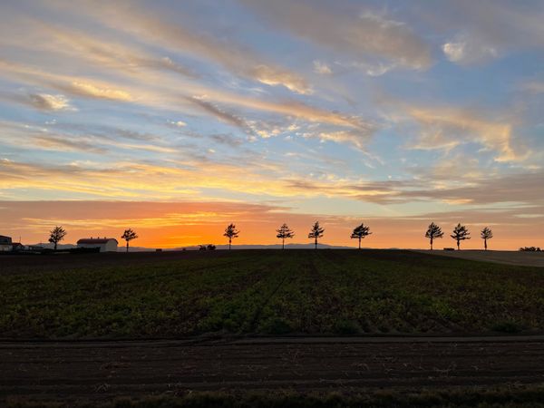 日本・北海道「🍑北海道〜金カム聖地へ無謀な大移動〜🍑」の写真
