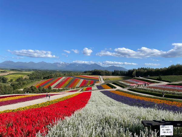 日本・北海道「🍑北海道〜金カム聖地へ無謀な大移動〜🍑」の写真