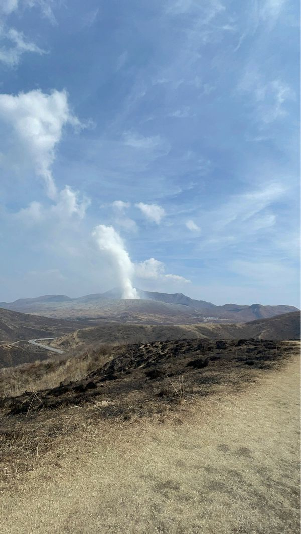 日本・鹿児島県「🥑九州縦断の旅🥑」の写真