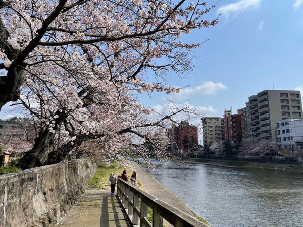 日本・石川県「🥑金沢〜親友2人と卒業旅行〜🥑」の写真