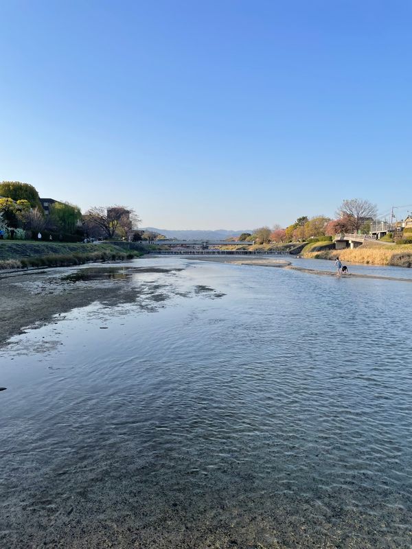 日本・京都府「🍑京都〜無計画爆食いの旅〜🍑」の写真