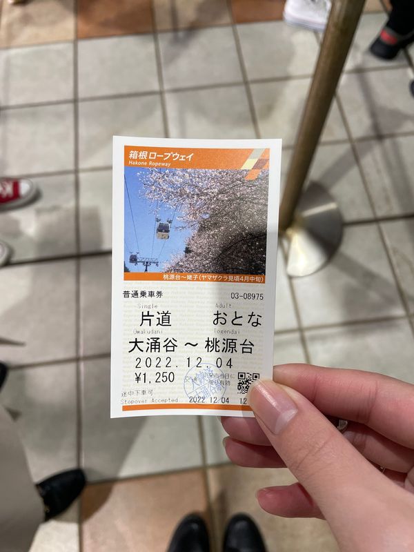 日本・神奈川県「🍑箱根〜サークル女子旅〜🍑」の写真