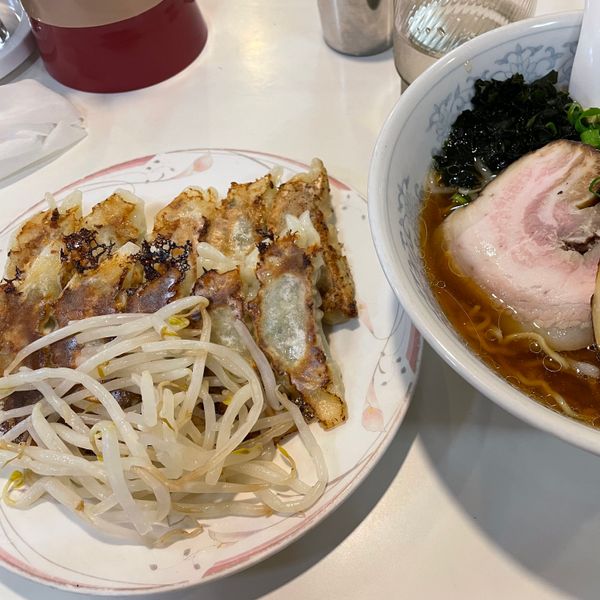 日本・静岡県「🌼静岡〜18切符ではじめての一人旅〜🌼」の写真