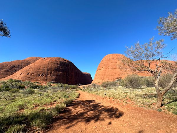 オーストラリア連邦・シドニー「オーストラリア旅行」の写真：8/11
カタジュタとウルルサンセット
...