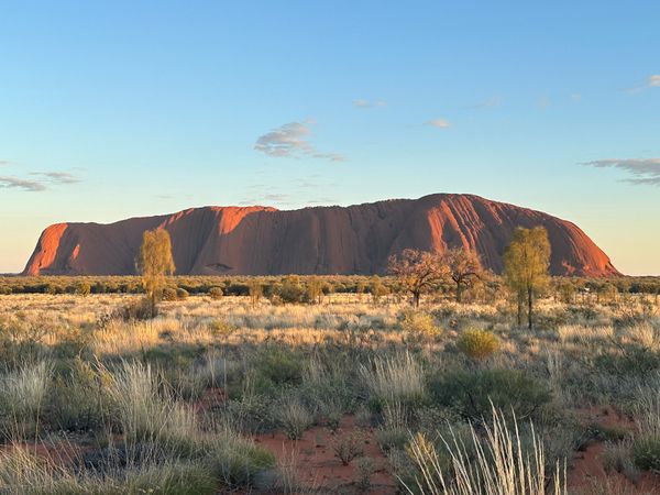 オーストラリア連邦・シドニー「オーストラリア旅行」の写真：8/12
ウルルサンライズからキャメルフ...