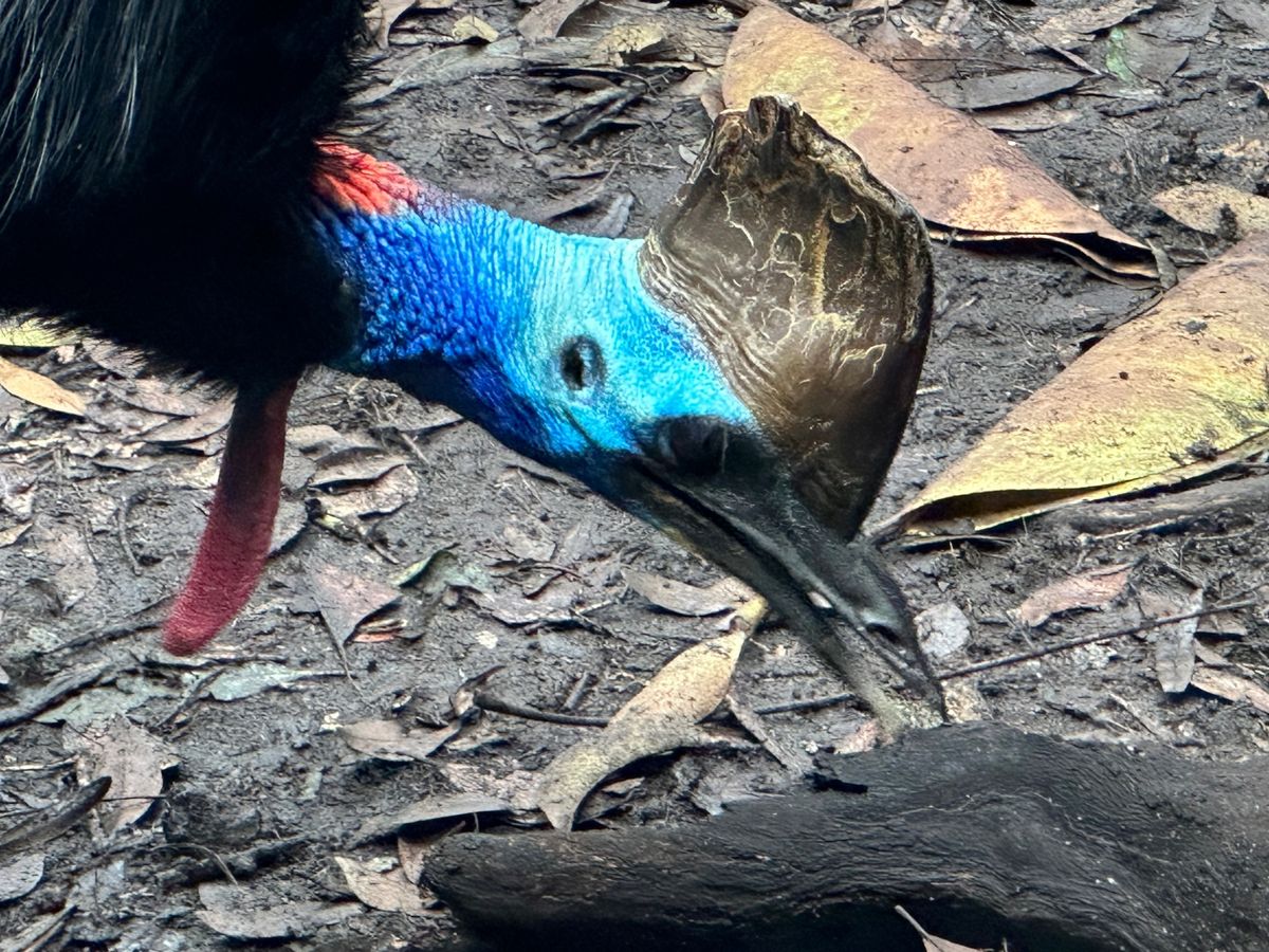 8/14
ワイルドライフシドニーとシーライフシドニー