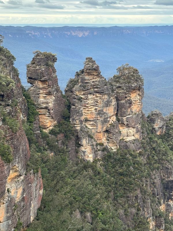 オーストラリア連邦・シドニー「オーストラリア旅行」の写真：8/13昼
世界遺産ブルーマウンテン、ス...