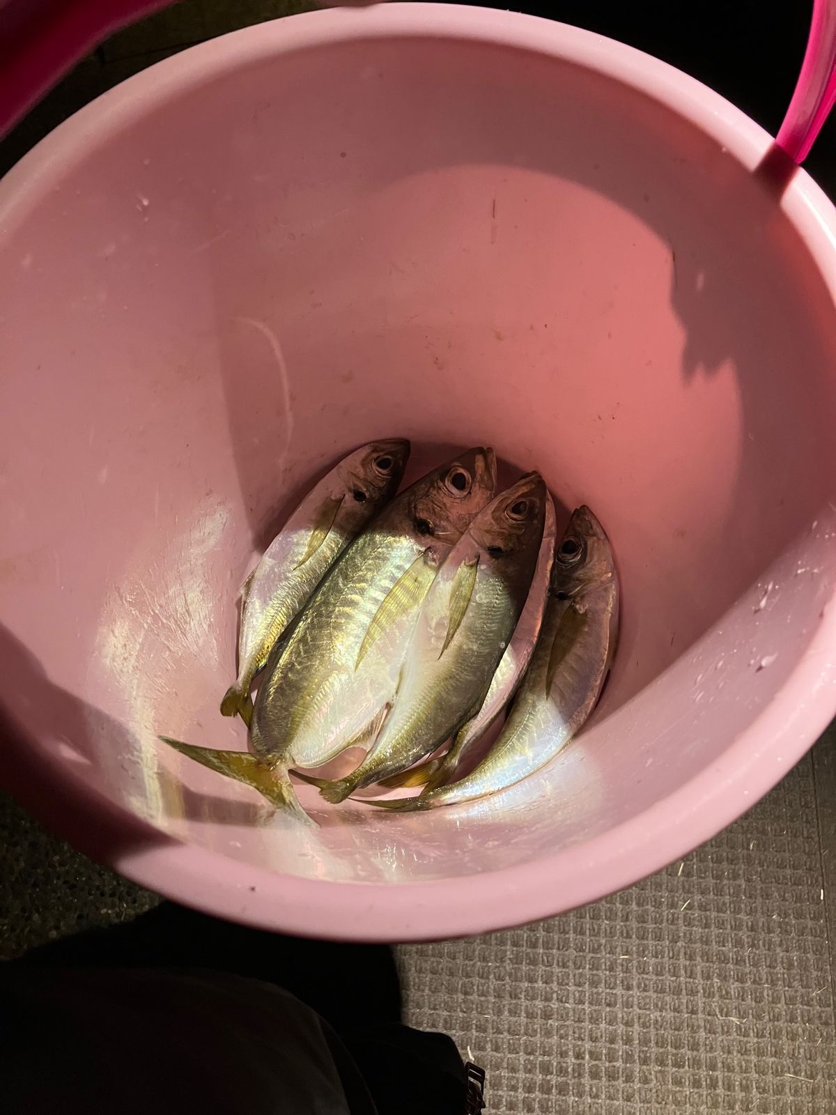 釣り風景。
九十九湾にかかる釣り桟橋で釣りが楽しめます。
釣った魚は夕食や...