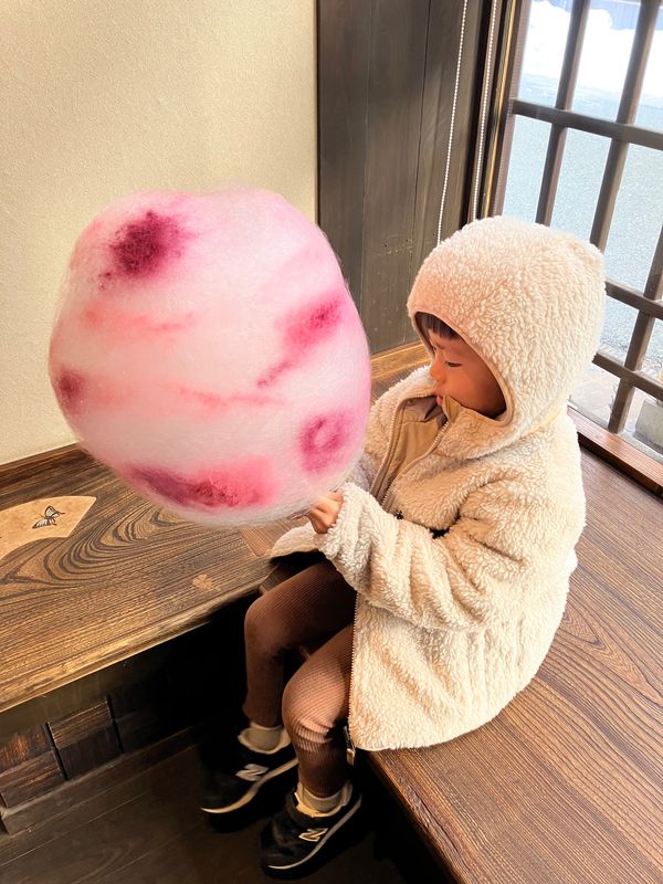 日本・飛騨高山「岐阜県（地元飛騨高山に帰省と観光）」の写真：古い街並み色々観光〜♡