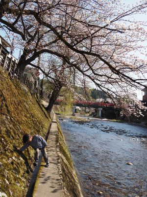 甥っ子と高山観光。
名前忘れたけど素敵なコーヒーショップと、
ミッフィーの...