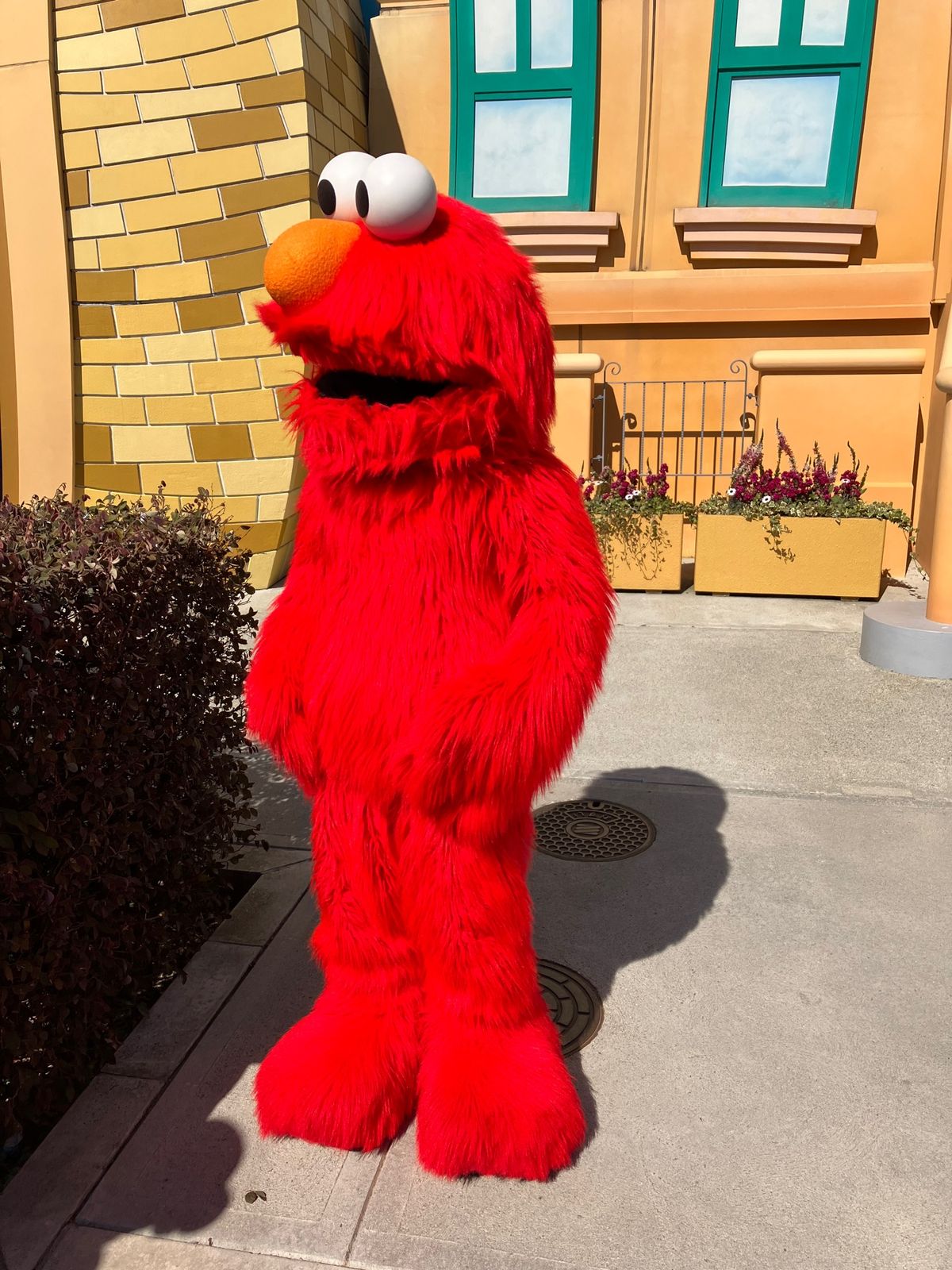 エルモとクッキーモンスターに会えた♡