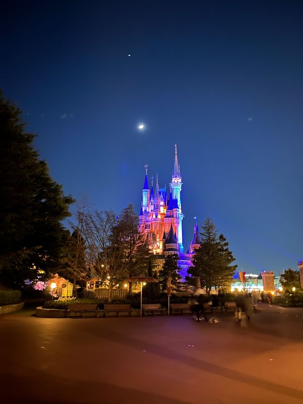 日本・千葉県「ディズニー」の写真