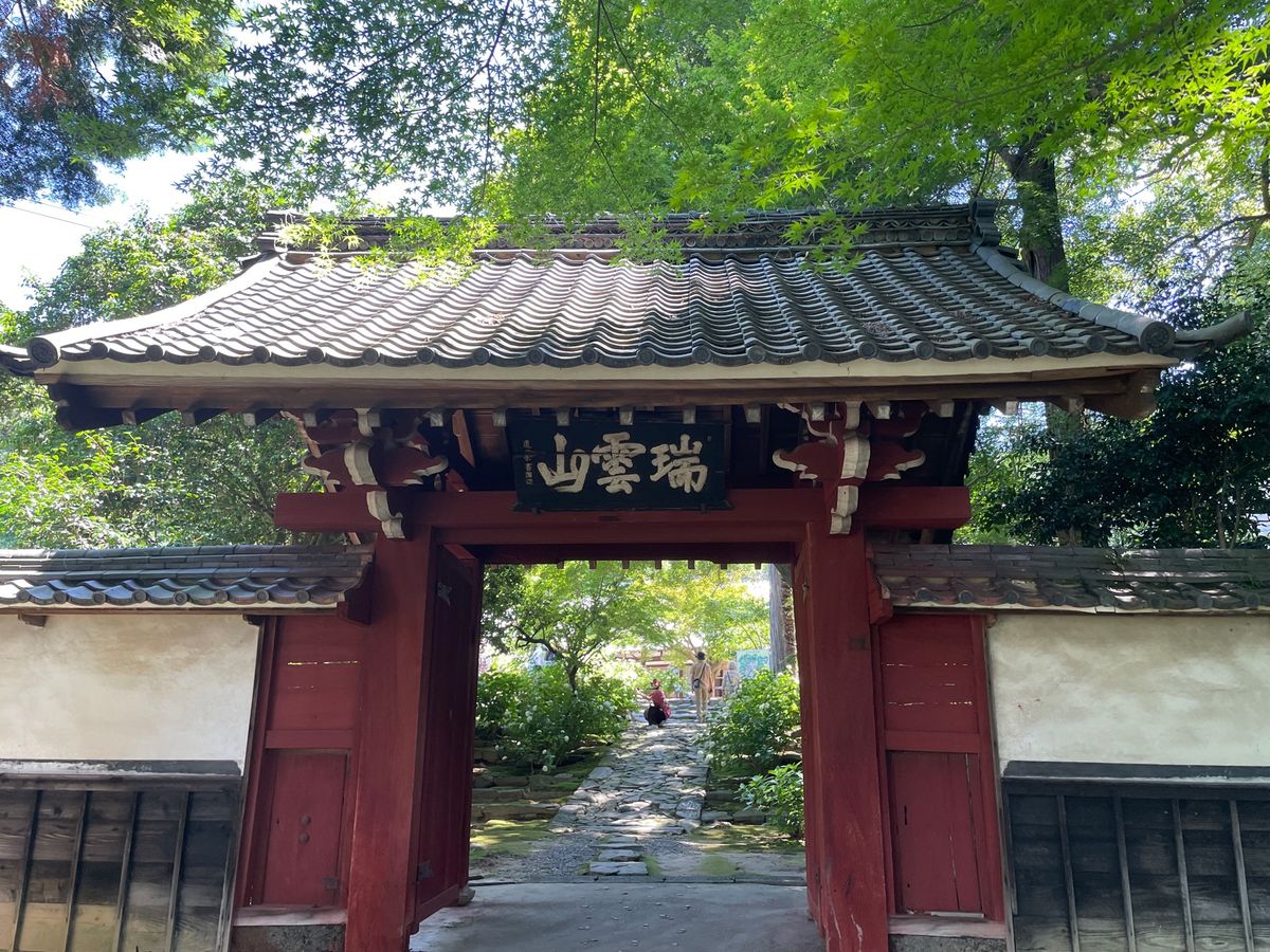 松平家の菩提寺である瑞雲山本光寺へ。境内へと続く紫陽花の小径が綺麗です。