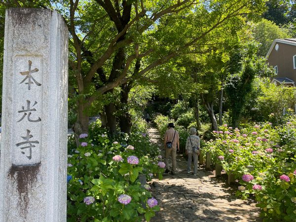 日本・愛知県「「どうする家康」岡崎プチ旅行。」の写真：松平家の菩提寺である瑞雲山本光寺へ。境内...