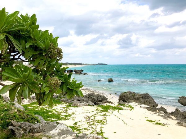 日本・沖縄「与論島&沖縄」の写真