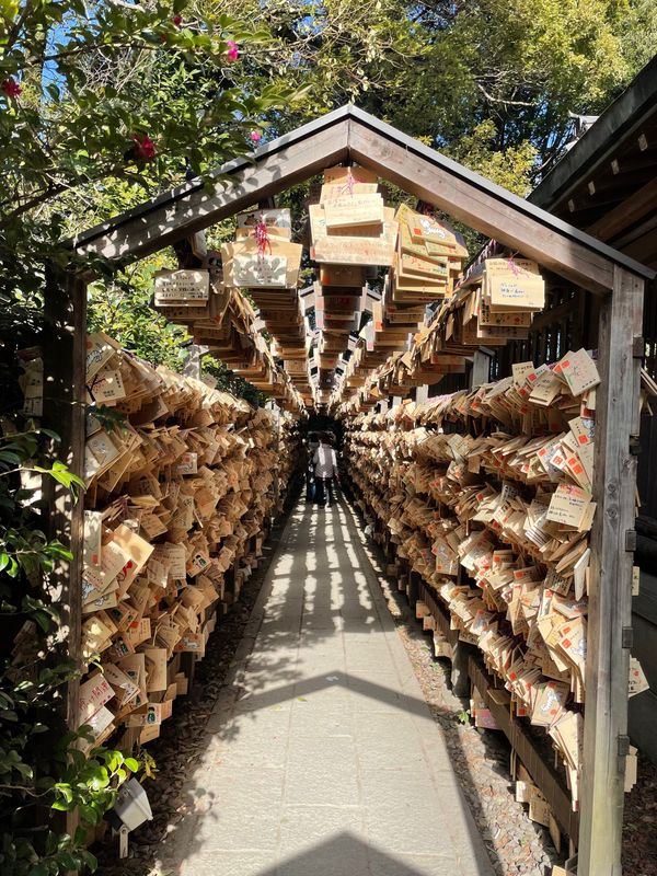 日本・川越「川越」の写真