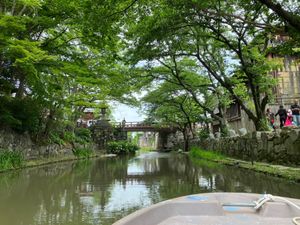 琵琶湖、近江八幡水郷巡り