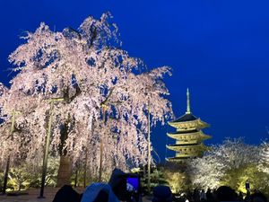 南禅寺、東寺