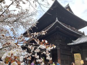 南禅寺、東寺