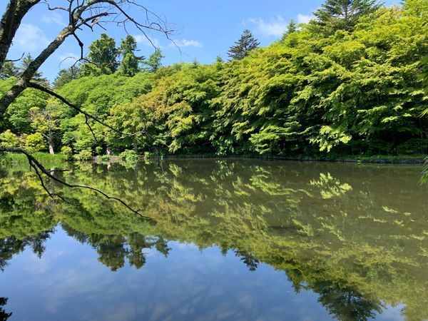 日本・軽井沢「軽井沢　東急ハーベスト」の写真