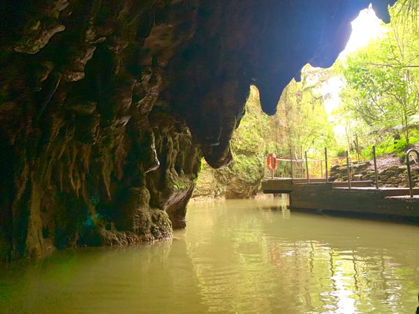 ニュージーランド・オークランド「海外解禁✈️NZ一人旅🇳🇿🐑」の写真