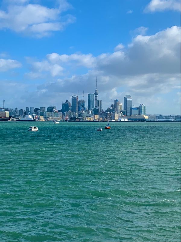 ニュージーランド・オークランド「海外解禁✈️NZ一人旅🇳🇿🐑」の写真
