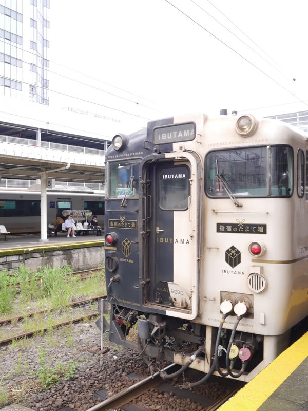 日本・鹿児島県「🌋鹿児島🐻‍❄️」の写真：桜島までフェリーであっという間！
黒豚し...