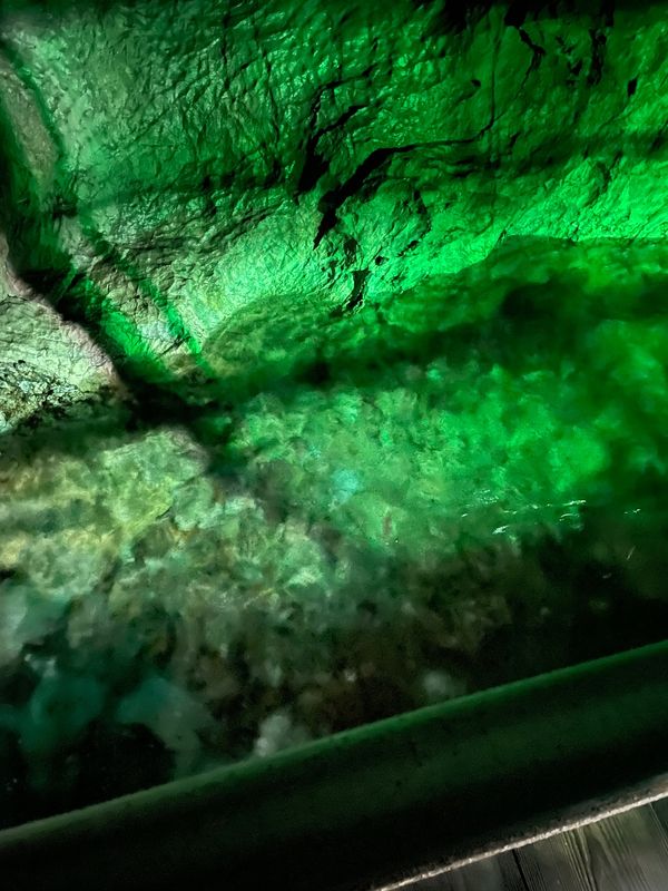 日本・岩手県「岩手県」の写真：よかった