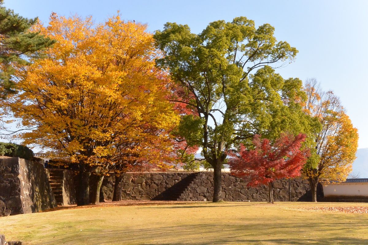 サドヤワイナリー／甲府城の紅葉／武田神社「姫の井戸」