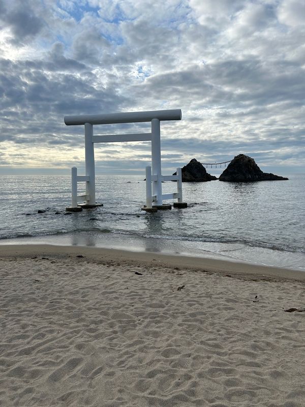 日本・佐賀県「九州旅行🍜🦑🐟」の写真：1日目
博多でShin shinラーメン...