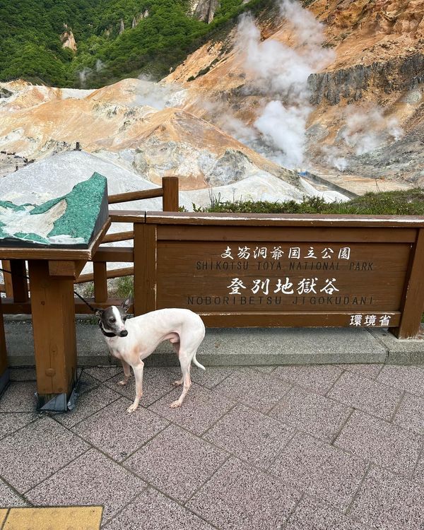 日本・函館「北海道旅行」の写真：登別地獄谷